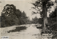 na023173--thumbnail.jpg