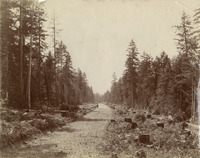 na002281--thumbnail.jpg