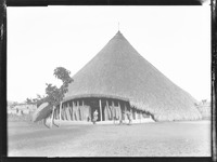 na031937--thumbnail.jpg