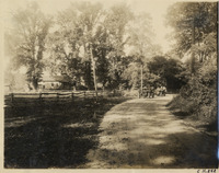 na010582--thumbnail.jpg