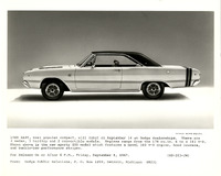 na033198--thumbnail.jpg