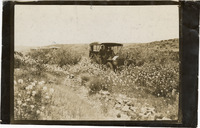 na047325--thumbnail.jpg
