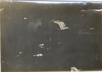 na014182--thumbnail.jpg