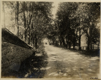 na010590--thumbnail.jpg