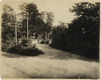 na010591--thumbnail.jpg