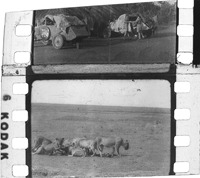 na031952--thumbnail.jpg