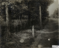 na015837--thumbnail.jpg
