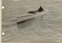 na050966--thumbnail.jpg