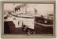 DPA0749--thumbnail.jpg
