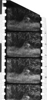 na031957--thumbnail.jpg