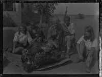 na031962--thumbnail.jpg