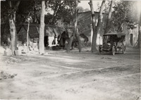 na043057--thumbnail.jpg