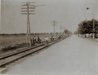 na016963--thumbnail.jpg