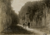 na004013--thumbnail.jpg