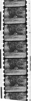 na031966--thumbnail.jpg