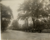 na009539--thumbnail.jpg