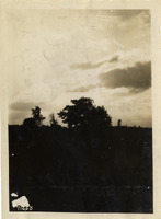na026242--thumbnail.jpg