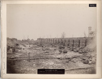 DPA0765--thumbnail.jpg