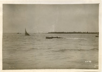 na050977--thumbnail.jpg