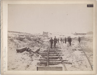 DPA0774--thumbnail.jpg