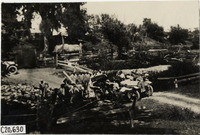 na023202--thumbnail.jpg