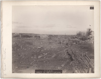 DPA0780--thumbnail.jpg