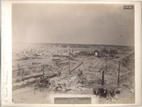 DPA0782--thumbnail.jpg