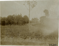 na015867--thumbnail.jpg