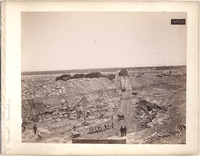 DPA0788--thumbnail.jpg