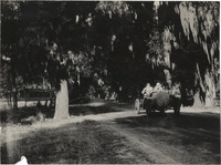na013174--thumbnail.jpg