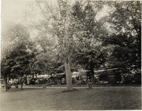 na022195--thumbnail.jpg
