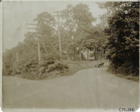 na015878--thumbnail.jpg