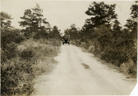 na031472--thumbnail.jpg