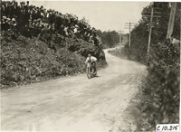 na008454--thumbnail.jpg