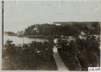 na014786--thumbnail.jpg