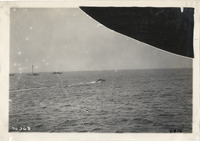 na005137--thumbnail.jpg