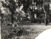 na013198--thumbnail.jpg
