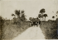 na031482--thumbnail.jpg