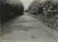 na010654--thumbnail.jpg