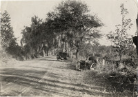 na013203--thumbnail.jpg