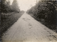 na010656--thumbnail.jpg