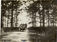 na029361--thumbnail.jpg