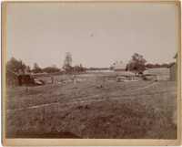 DPA0838--thumbnail.jpg