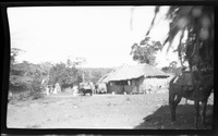 na032071--thumbnail.jpg