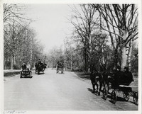 na019162--thumbnail.jpg