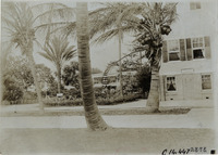 na014812--thumbnail.jpg