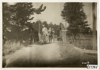 na020384--thumbnail.jpg