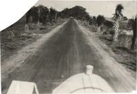 na013216--thumbnail.jpg