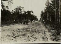 na017031--thumbnail.jpg