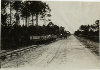 na017033--thumbnail.jpg